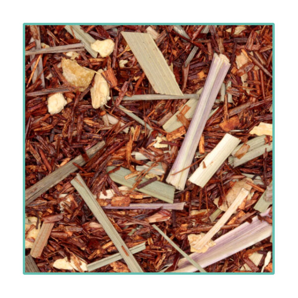 Ginger Grass