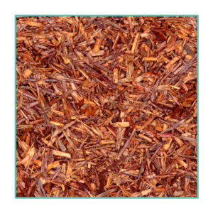 Rooibos RED