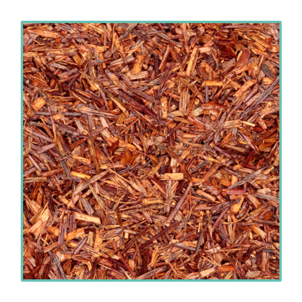 Rooibos RED